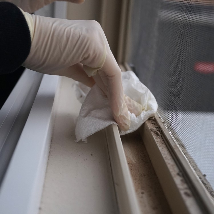 Cleaning in Norman, OK